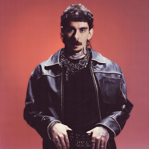 Portrait of Mochakk