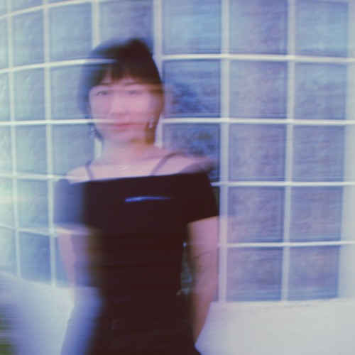 Portrait of suade