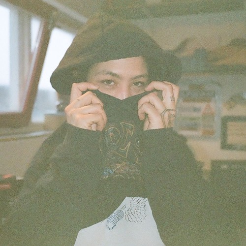 Portrait of NVST