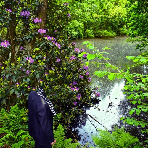 Portrait of Teun Krosenbrink