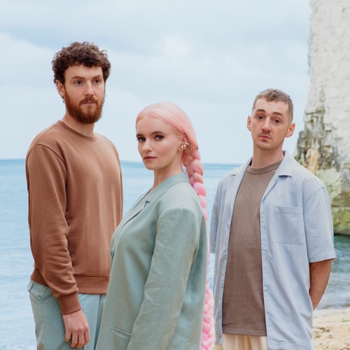 Portrait of Clean Bandit