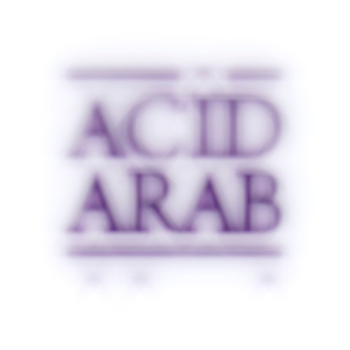 Portrait of Acid Arab