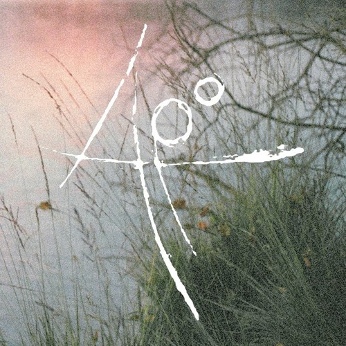 Portrait of Aponogeton