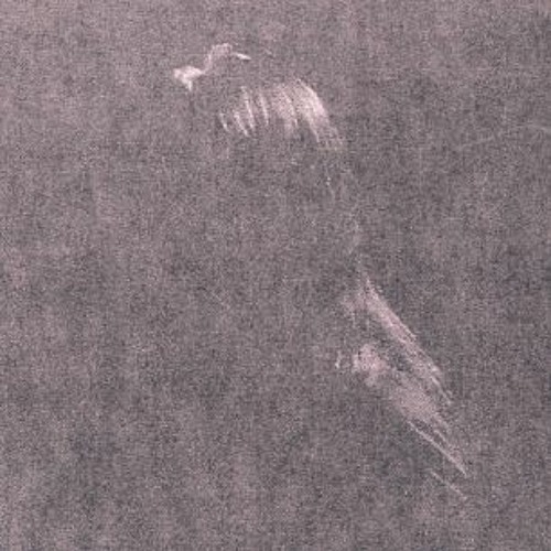 Portrait of Matriark