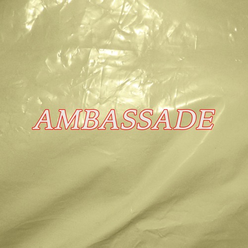 Portrait of De Ambassade