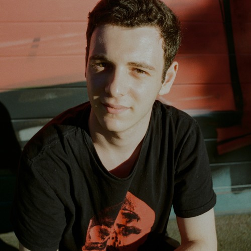 Portrait of Levan Andiashvili