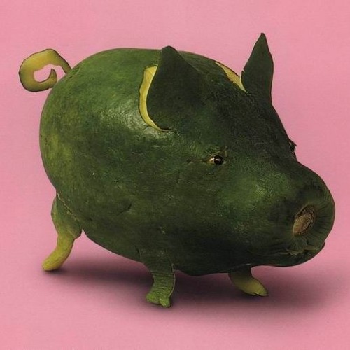Portrait of winipu