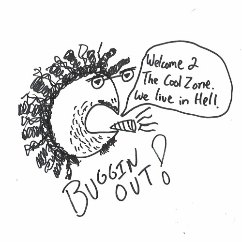 Portrait of Turtle Bugg