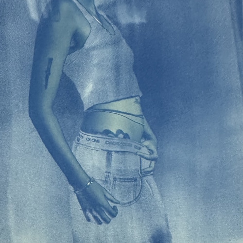 Portrait of Sade James