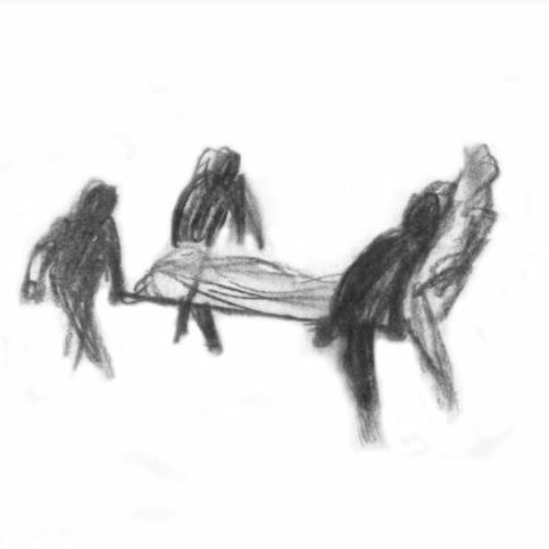 Portrait of Walrus
