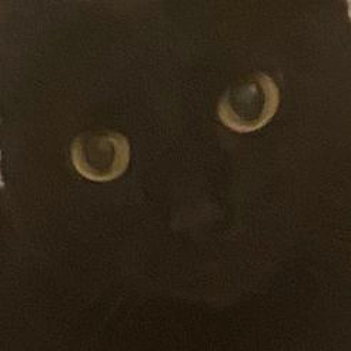 Portrait of llloyd