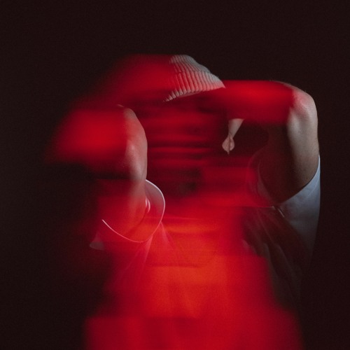 Portrait of Dilate(US)