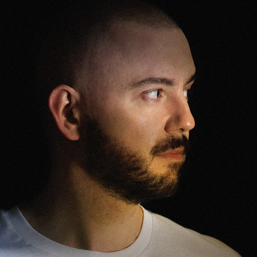 Portrait of V-Sag