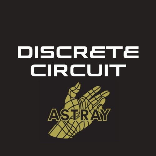 Portrait of Discrete Circuit