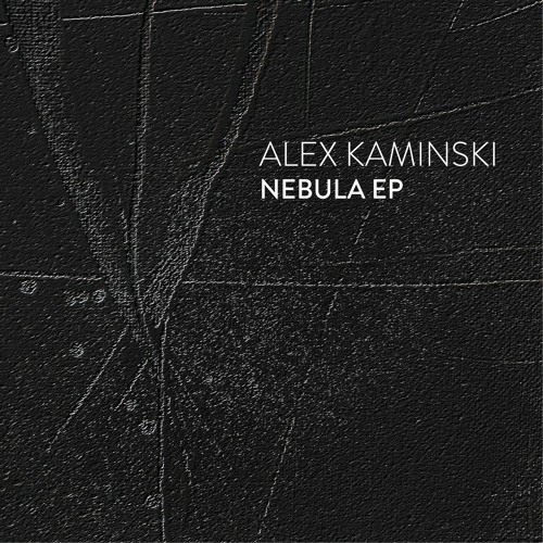 Portrait of Alex Kaminski