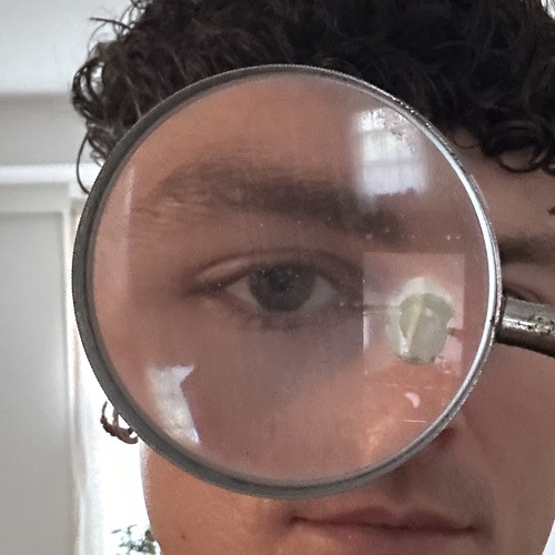 Portrait of e-Lite