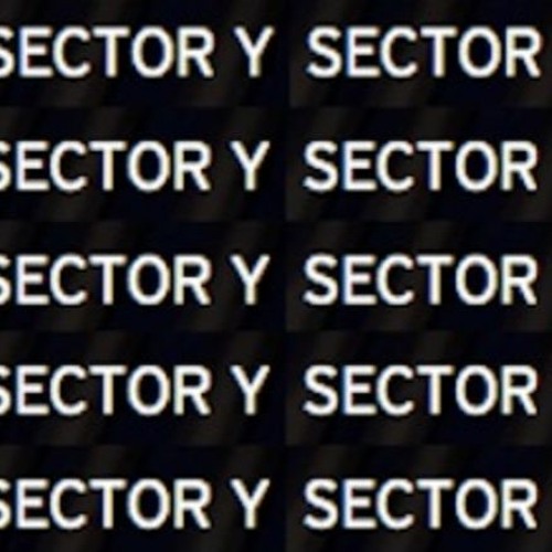 Portrait of Sector Y