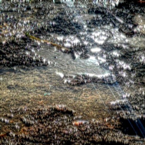 Portrait of 7Astris