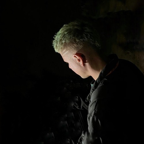 Portrait of Nionist
